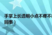 手掌上長透明小點(diǎn)不疼不癢（手指長透明小點(diǎn)不痛不癢怎么回事）
