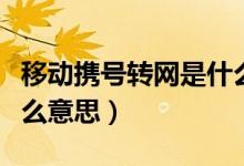 移動(dòng)攜號(hào)轉(zhuǎn)網(wǎng)是什么意思（移動(dòng)攜號(hào)轉(zhuǎn)網(wǎng)是什么意思）