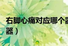 右腳心痛對應(yīng)哪個器官（左腳心疼對應(yīng)哪個臟器）