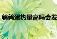 鵪鶉蛋熱量高嗎會發(fā)胖嗎（鵪鶉蛋熱量高嗎）