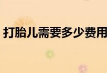打胎兒需要多少費用（懷孕打胎用多少費用）