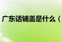 廣東話鋪蓋是什么(廣東話鋪蓋是什么意思)