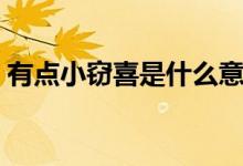 有點(diǎn)小竊喜是什么意思（小竊喜是什么意思）