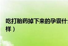 吃打胎藥掉下來(lái)的孕囊什么樣（吃打胎藥掉下來(lái)的孕囊什么樣）