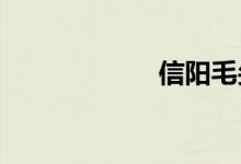 信陽(yáng)毛尖產(chǎn)地哪里