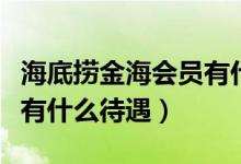 海底撈金海會(huì)員有什么權(quán)益（海底撈金海會(huì)員有什么待遇）