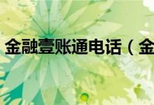 金融壹賬通電話（金融壹賬通是個什么機構）