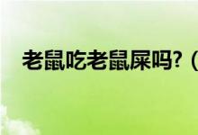 老鼠吃老鼠屎?jiǎn)?（人吃了老鼠屎會(huì)怎樣）