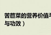 苦苣菜的營(yíng)養(yǎng)價(jià)值與功效（苦苣菜的營(yíng)養(yǎng)價(jià)值與功效）