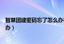 智慧團(tuán)建密碼忘了怎么辦初始密碼（智慧團(tuán)建密碼忘了怎么辦）