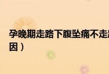 孕晚期走路下腹墜痛不走路不疼（孕晚期走路下腹墜痛的原因）