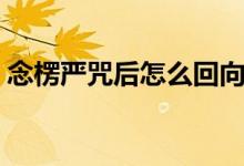 念楞嚴咒后怎么回向（念完楞嚴咒怎么回向）