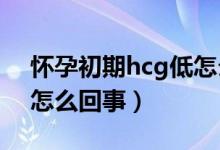懷孕初期hcg低怎么食補(bǔ)（懷孕初期HCG低怎么回事）