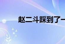 趙二斗踩到了一些法國制造的地雷