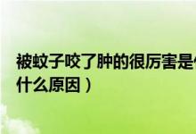 被蚊子咬了腫的很厲害是什么?。ū晃米右Я四[的很厲害是什么原因）