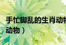 手忙腳亂的生肖動(dòng)物（手忙腳亂逃無(wú)蹤是什么動(dòng)物）