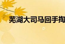 蕪湖大司馬回手掏（蕪湖大司馬的語錄）