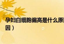 孕婦白細胞偏高是什么原因分析（孕婦白細胞偏高是什么原因）