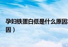 孕婦鐵蛋白低是什么原因怎么調理（孕婦鐵蛋白低是什么原因）