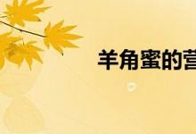 羊角蜜的營養(yǎng)價(jià)值是什么
