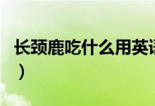 長(zhǎng)頸鹿吃什么用英語(yǔ)寫（長(zhǎng)頸鹿吃什么食物的）