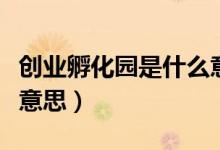 創(chuàng)業(yè)孵化園是什么意思?。▌?chuàng)業(yè)孵化園是什么意思）