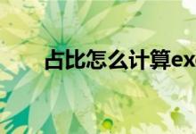 占比怎么計(jì)算excel（占比怎么計(jì)算）