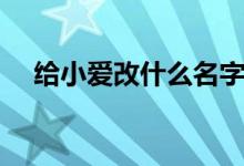 給小愛改什么名字（怎么給小愛改名字）