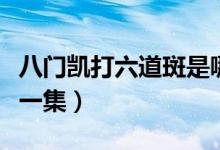 八門(mén)凱打六道斑是哪一集（凱開(kāi)八門(mén)打斑是哪一集）