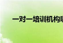 一對一培訓機構哪個好（有哪些選擇）