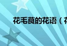 花毛茛的花語(yǔ)（花毛茛的花語(yǔ)是什么）
