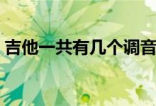 吉他一共有幾個調(diào)音階（吉他一共有幾根弦）