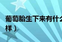 葡萄胎生下來(lái)有什么后果（葡萄胎生下來(lái)什么樣）