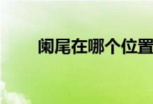 闌尾在哪個位置（闌尾在哪個位置）