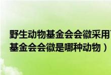 野生動(dòng)物基金會(huì)會(huì)徽采用了中國(guó)的哪種動(dòng)物（世界野生生物基金會(huì)會(huì)徽是哪種動(dòng)物）