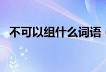 不可以組什么詞語（不可以組什么詞詞語）