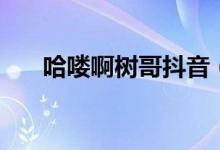哈嘍啊樹(shù)哥抖音（哈嘍樹(shù)哥什么意思）