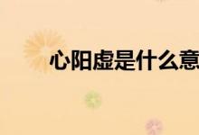 心陽(yáng)虛是什么意思（心陽(yáng)虛是什么）