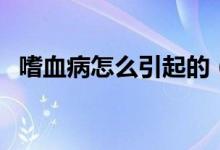 嗜血病怎么引起的（嗜血癥是得了什么?。?class=