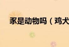 豕是動(dòng)物嗎（雞犬豕這個(gè)豕是什么動(dòng)物）