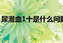 尿潛血1十是什么問題（尿潛血1十是什么?。?class=