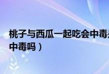 桃子與西瓜一起吃會(huì)中毒是真的假的（桃子與西瓜一起吃會(huì)中毒嗎）