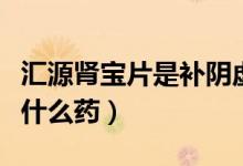 匯源腎寶片是補(bǔ)陰虛還是陽(yáng)虛（匯源腎寶片是什么藥）