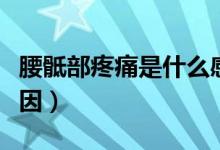腰骶部疼痛是什么感覺(jué)（腰骶部疼痛是什么原因）