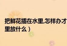 把鮮花插在水里,怎樣辦才能保鮮時(shí)間長(zhǎng)（鮮插花怎樣保鮮水里放什么）