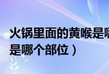 火鍋里面的黃喉是哪個部位（火鍋里面的黃喉是哪個部位）