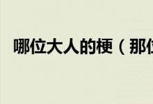 哪位大人的梗（那位大人會來嗎是什么梗）