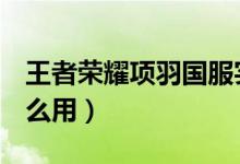 王者榮耀項羽國服實(shí)戰(zhàn)（王者榮耀心悅g分怎么用）
