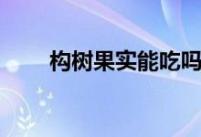 構(gòu)樹果實(shí)能吃嗎（構(gòu)樹果實(shí)能吃嗎）
