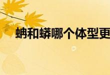 蚺和蟒哪個體型更大（蚺和蟒哪個更長）